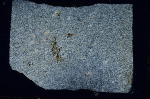 Cross Polarized, S88270