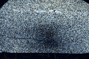 Cross Polarized, S88274