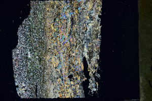 Cross Polarized, S88275