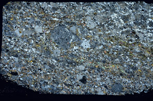 Cross Polarized, S88276