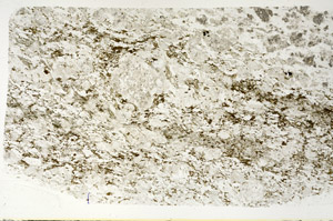 Plane Polarized, S88276