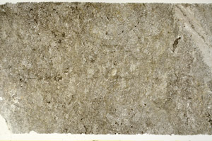 Plane Polarized, S88277