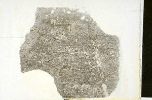 Plane Polarized, S88278