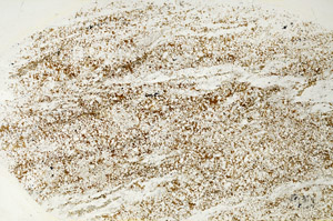 Plane Polarized, S88279