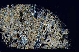 Cross Polarized, S88280