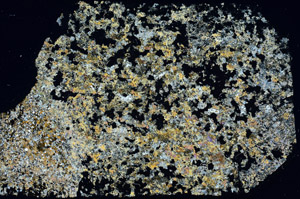Cross Polarized, S88283