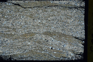 Cross Polarized, S88285