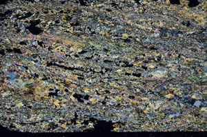 Cross Polarized, S88289