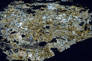 Cross Polarized, S88292