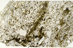 Plane Polarized, S88293