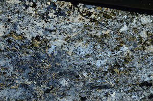 Cross Polarized, S88294