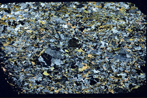 Cross Polarized, S88302