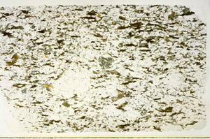 Plane Polarized, S88302