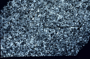 Cross Polarized, S88308