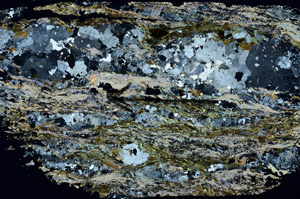 Cross Polarized, S88314