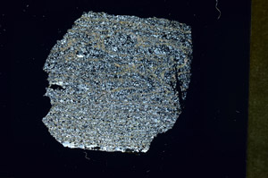 Cross Polarized, S88318