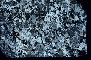 Cross Polarized, S88320
