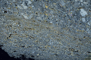Cross Polarized, S88322