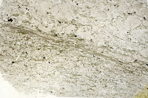 Plane Polarized, S88322