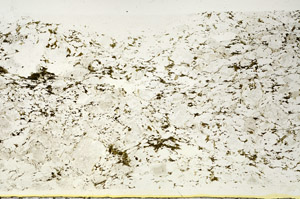 Plane Polarized, S88323