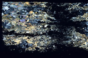 Cross Polarized, S88325