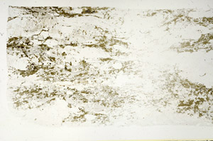 Plane Polarized, S88325
