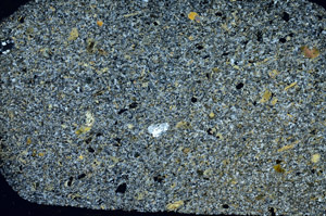 Cross Polarized, S88326