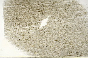 Plane Polarized, S88328