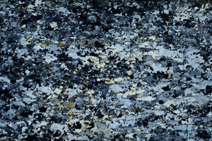 Cross Polarized, S88331