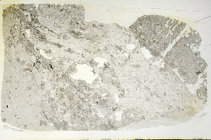 Plane Polarized, S88334