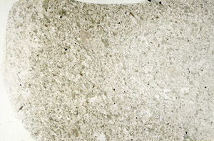 Plane Polarized, S88338
