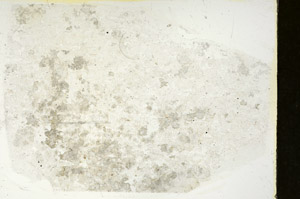 Plane Polarized, S88340