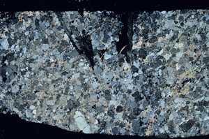 Cross Polarized, S88343