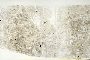Plane Polarized, S88343