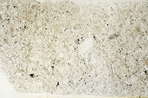 Plane Polarized, S88344