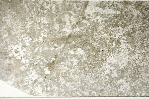 Plane Polarized, S88346