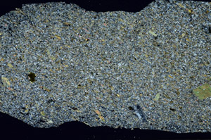 Cross Polarized, S88347