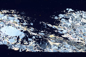 Cross Polarized, S88349
