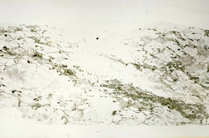 Plane Polarized, S88349