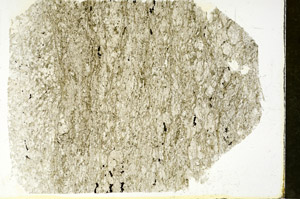 Plane Polarized, S88350