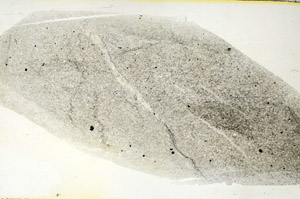 Plane Polarized, S88352
