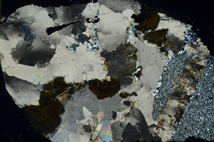 Cross Polarized, S88353