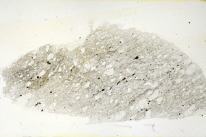 Plane Polarized, S88354