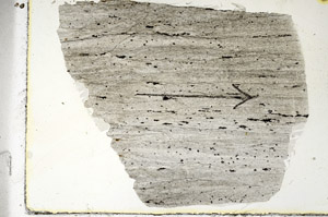 Plane Polarized, S88357