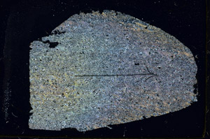 Cross Polarized, S88362