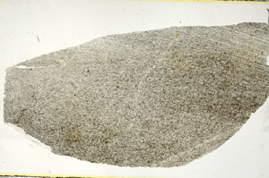 Plane Polarized, S88363