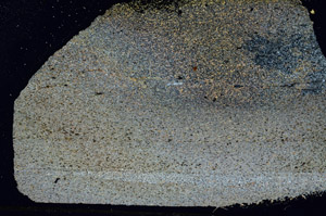 Cross Polarized, S88368