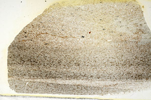 Plane Polarized, S88368