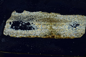 Cross Polarized, S88372