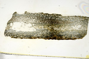 Plane Polarized, S88372